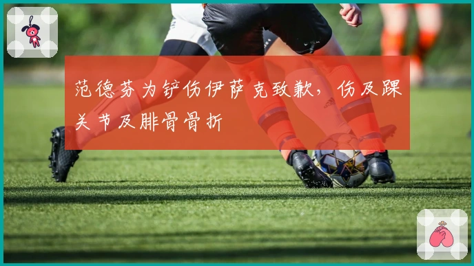 范德芬为铲伤伊萨克致歉，伤及踝关节及腓骨骨折