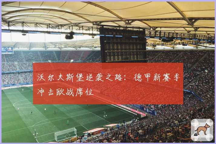 沃尔夫斯堡逆袭之路：德甲新赛季冲击欧战席位